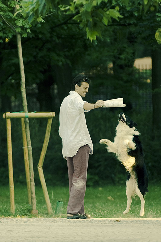 cane_padrone.jpg