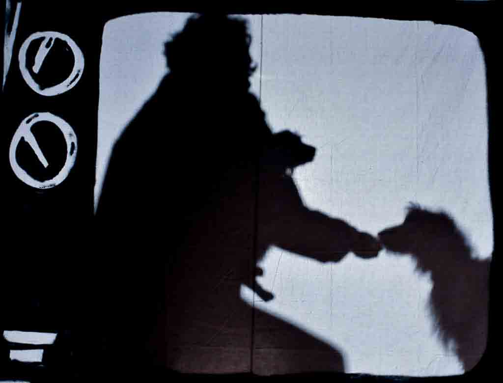 canile-70.JPG