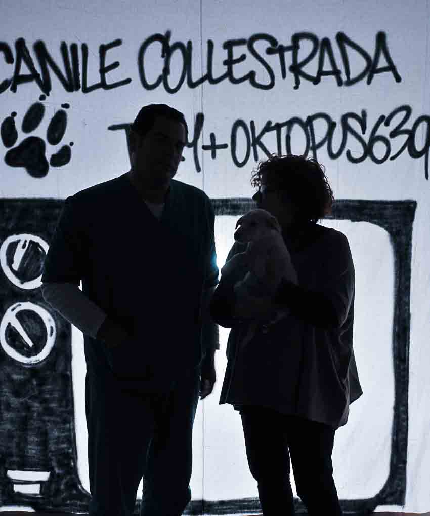 canile-72.JPG