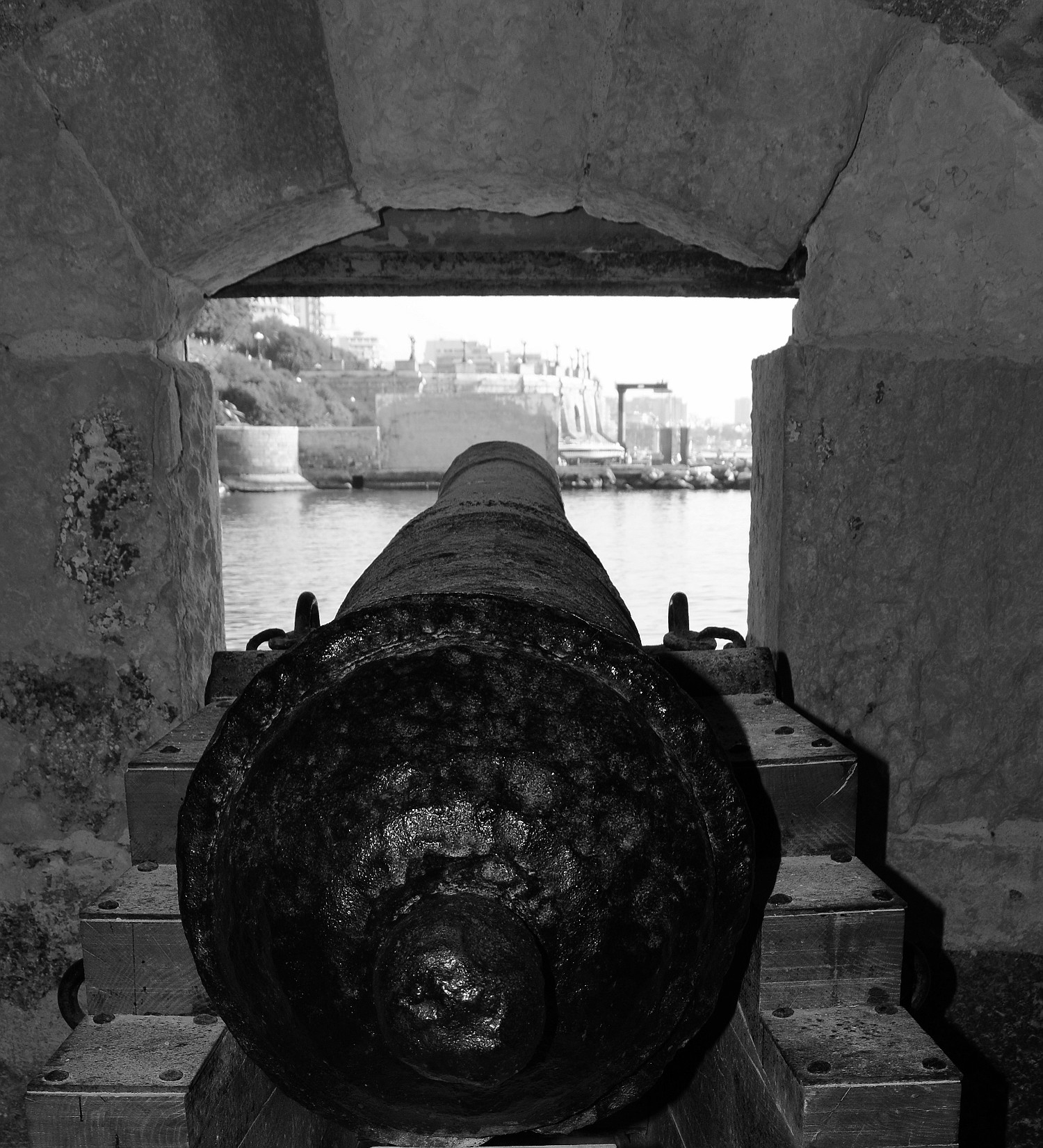 cannone3.jpg
