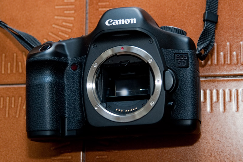Canon-5D-2.jpg