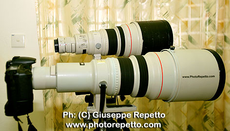 Canon-600-mm-and-400-mm-VM2.jpg