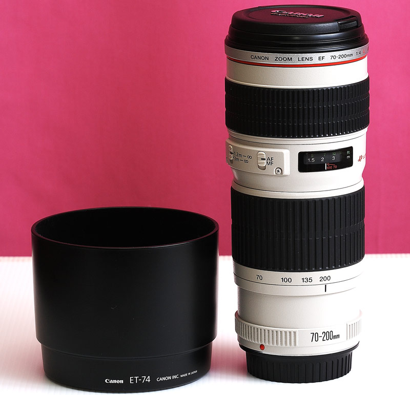 Canon-70-200+Paral..jpg