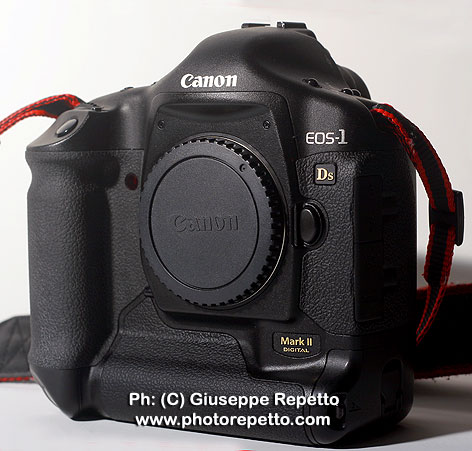Canon-Eos-1Ds-Mark-II_MG_19.jpg