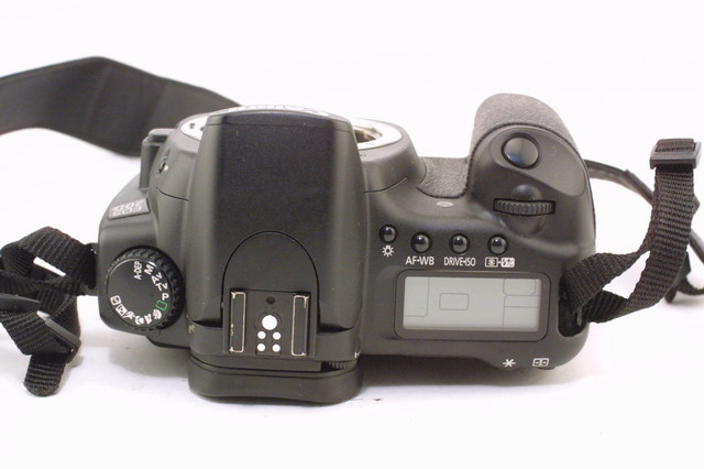 Canon-EOS-20D-1-10-07-M-071.jpg