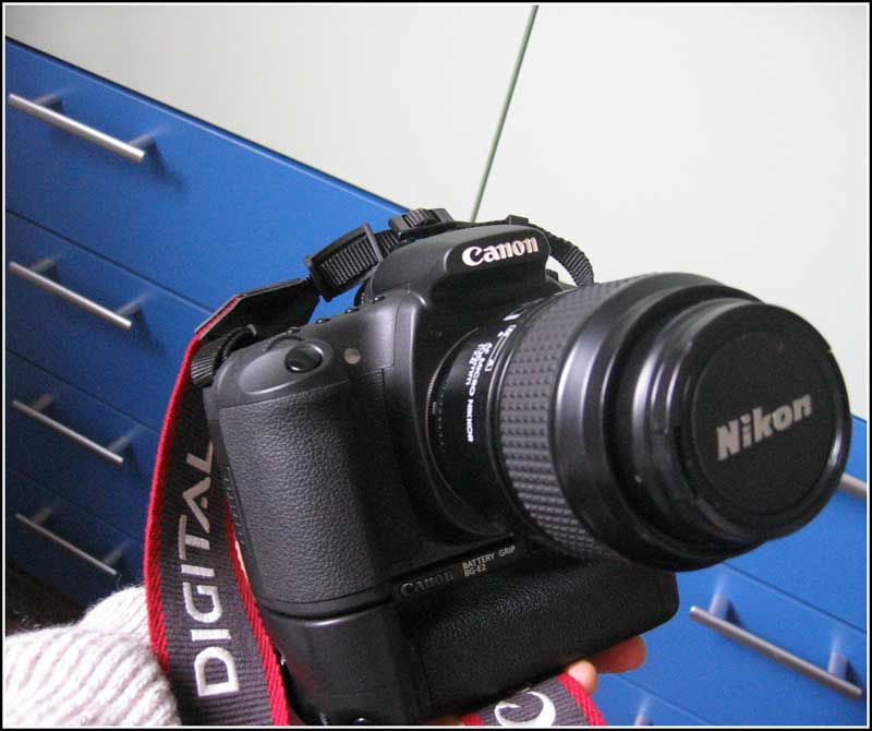 canon-nikon.jpg