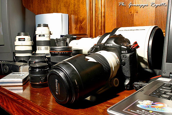 Canon-Staff_IMG_2519.jpg