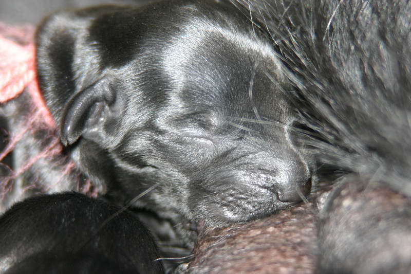 Canon10D0099_resize.JPG