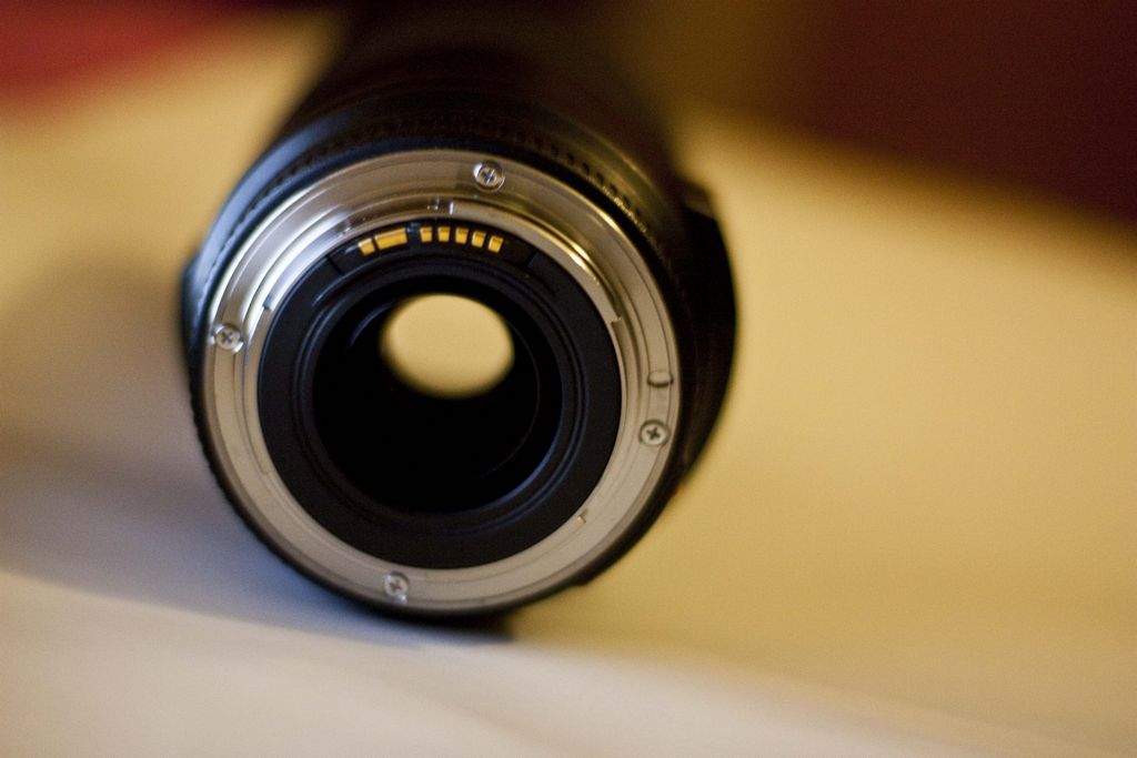 Canon1 70-300.jpg