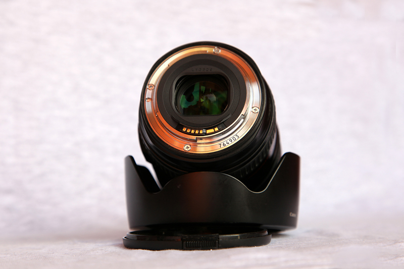 Canon24-105R800600.jpg