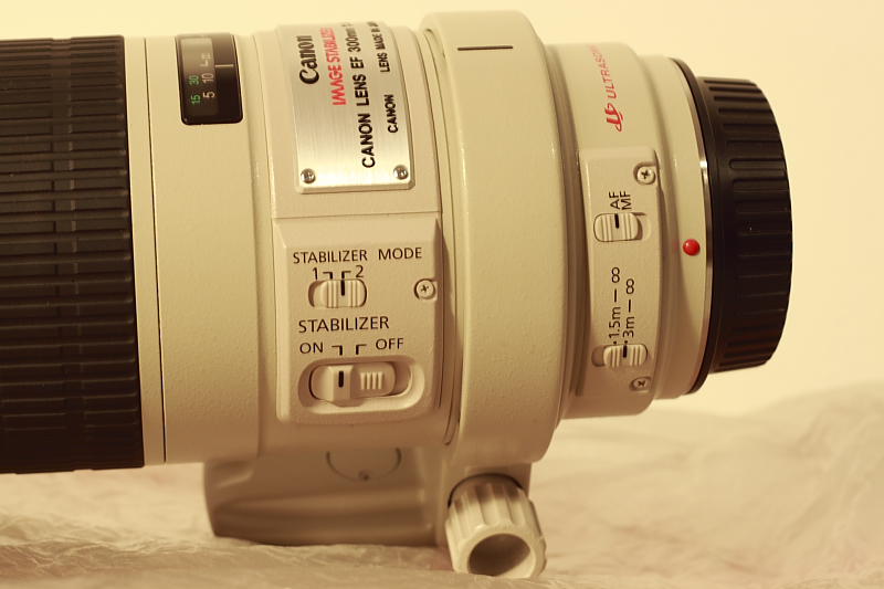 Canon300-1.JPG