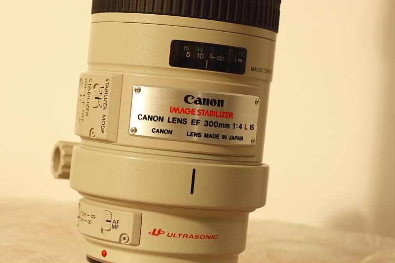 Canon300-2.JPG
