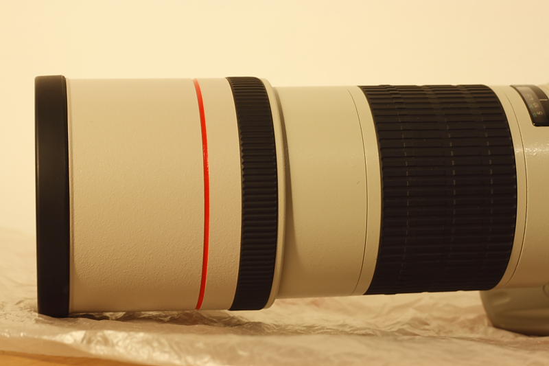 Canon300-4.JPG