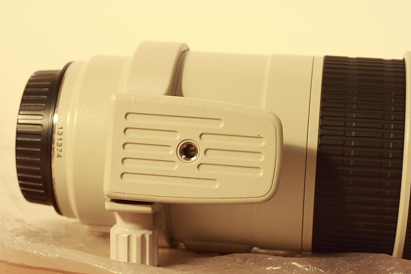 Canon300-5.JPG