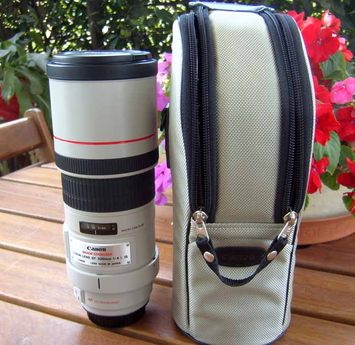 Canon300 A.JPG