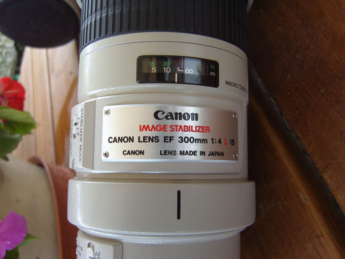 Canon300 C.JPG