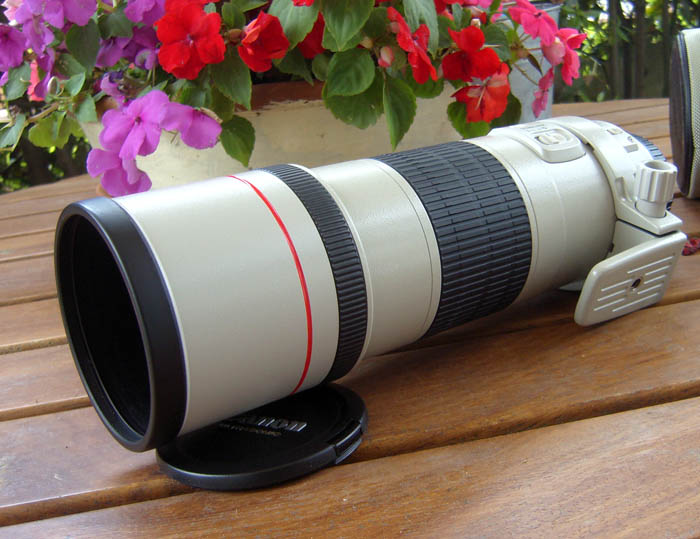 Canon300 D.JPG