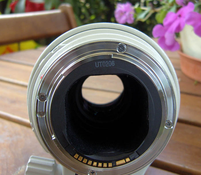 Canon300 F.JPG