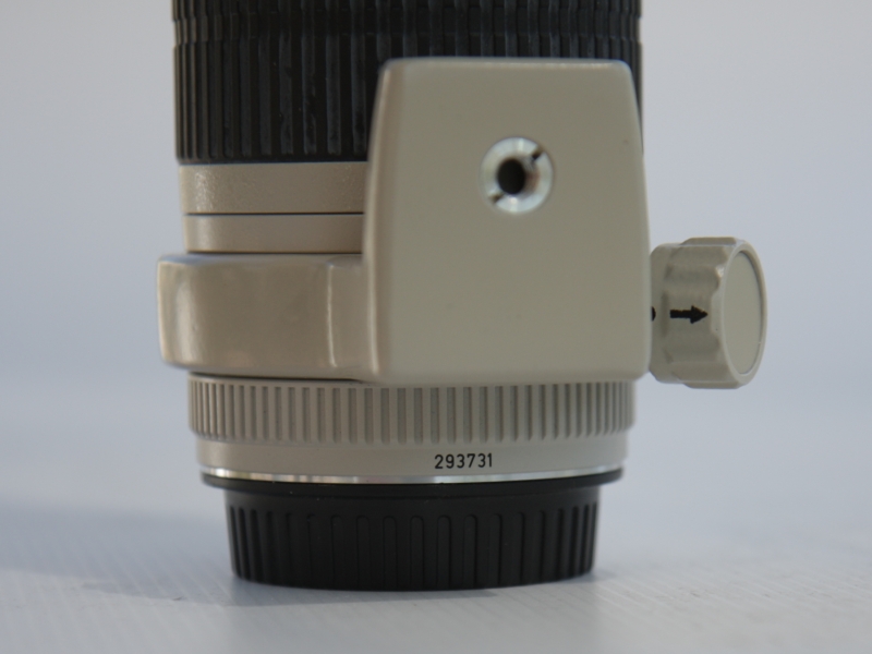 Canon70-200_04.jpg