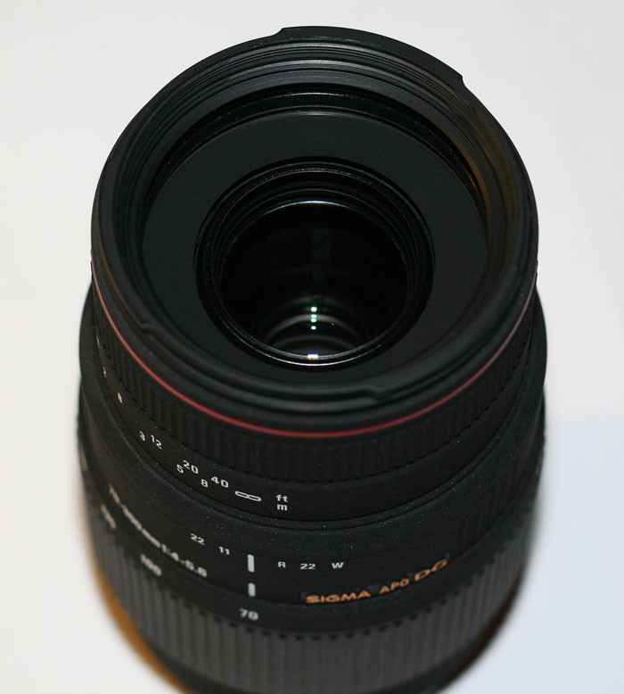 canon 006.jpg
