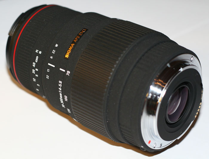 canon 011.jpg