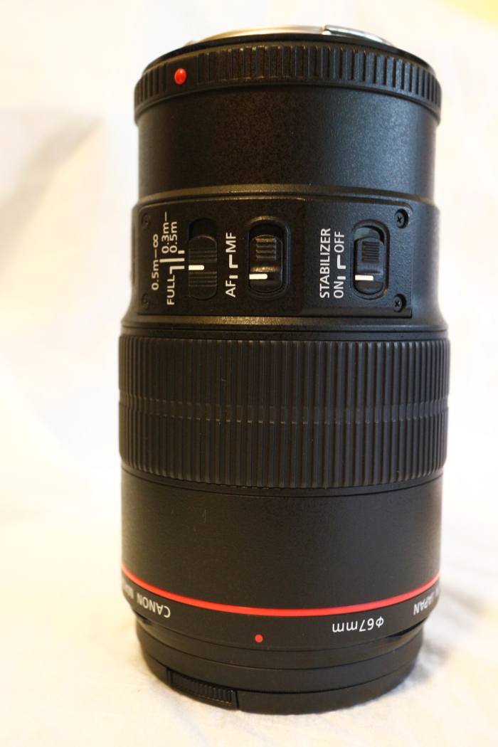 canon 1002.JPG