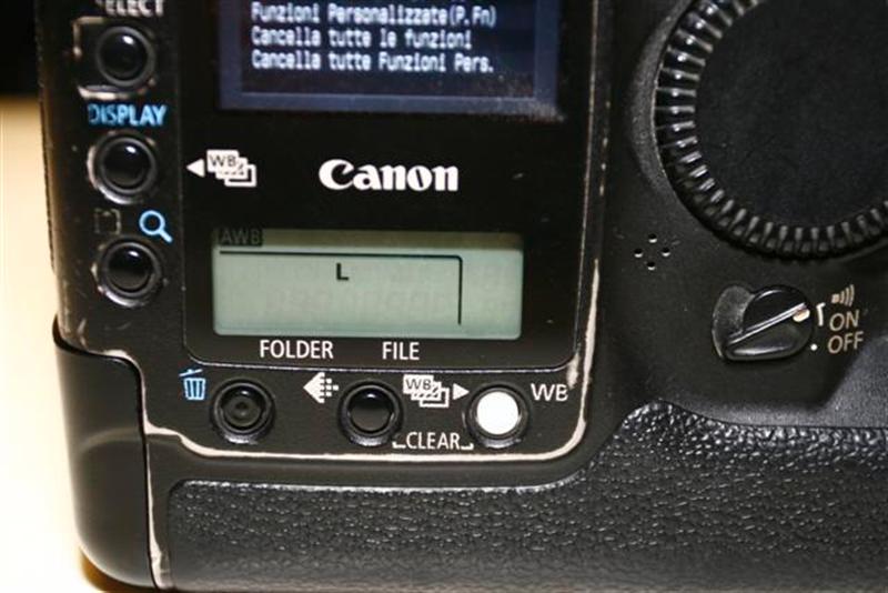 Canon 1Ds Mark II_4 (Medium).JPG