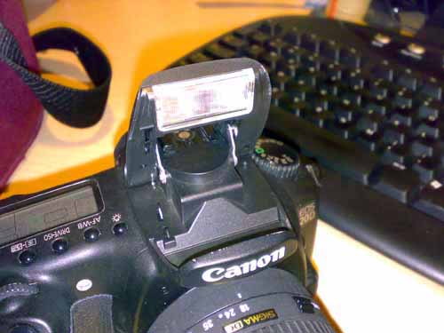 canon 20D 011.jpg