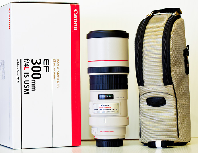 Canon 300 f4 IS.jpg