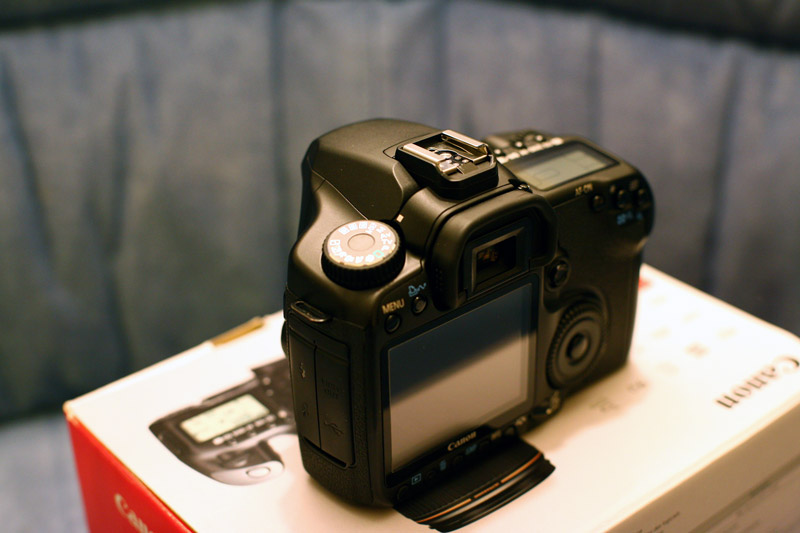 Canon 40D (1).jpg