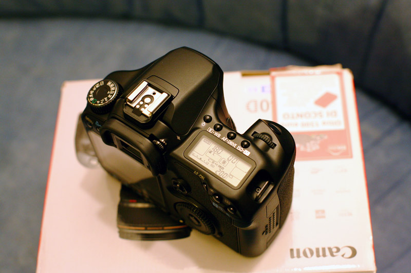 Canon 40D (5).jpg
