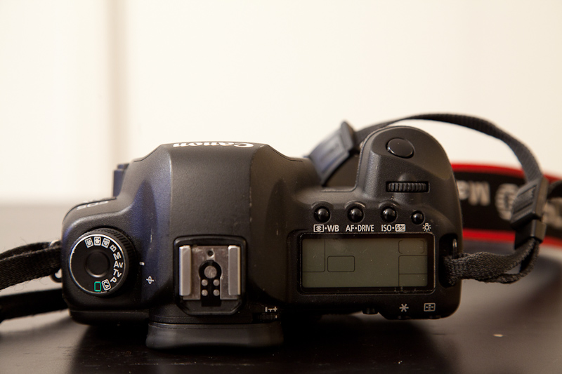 Canon_5D_MarkII-004.jpg