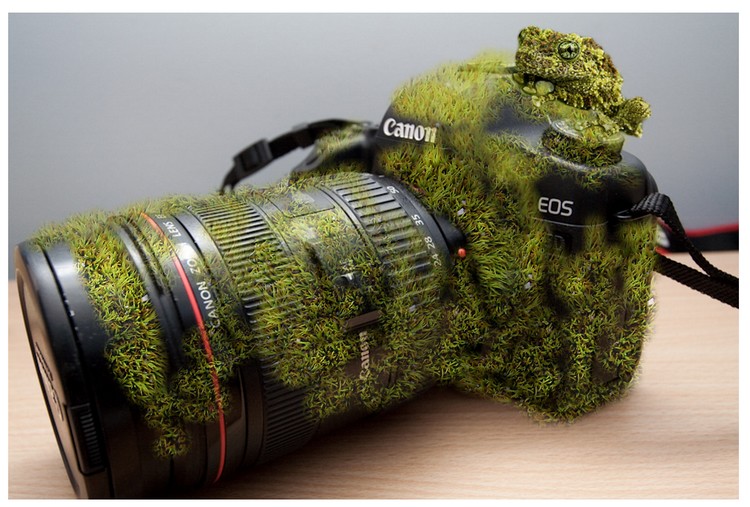 Canon 5D musk II.jpg