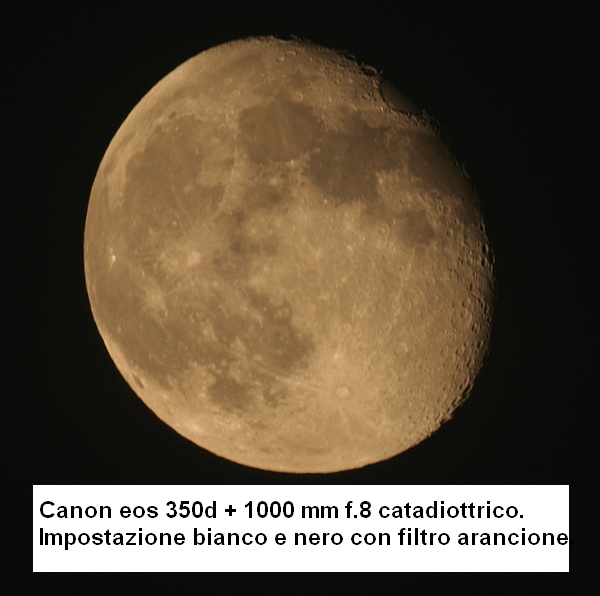 canon + MTO.jpg