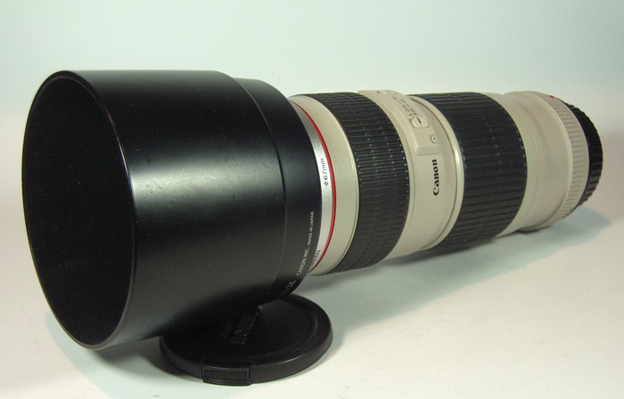 Canon C.JPG