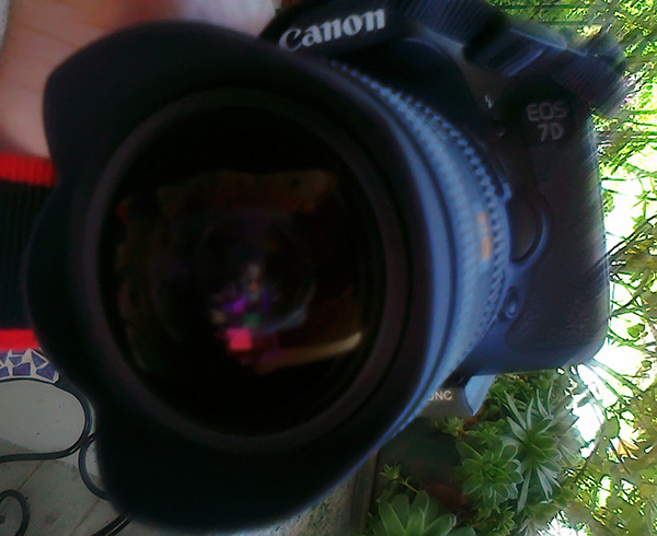 Canon Eos 7d-005.jpg