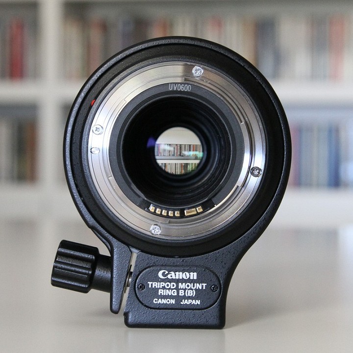 Canon MP-E 65mm f2.8 b.jpg