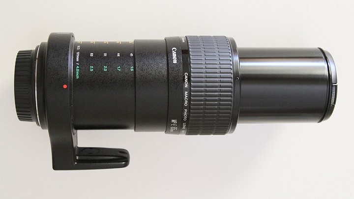 Canon MP-E 65mm f2.8 c.jpg