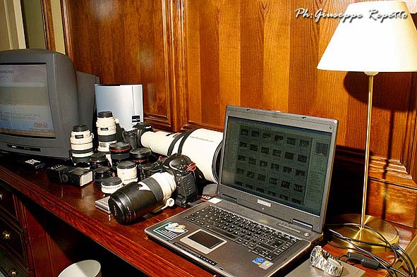 Canon Staff_IMG_2522.jpg