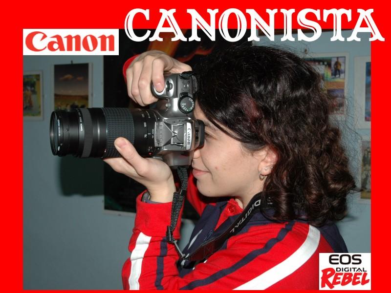 Canonista piccolo 5.jpg