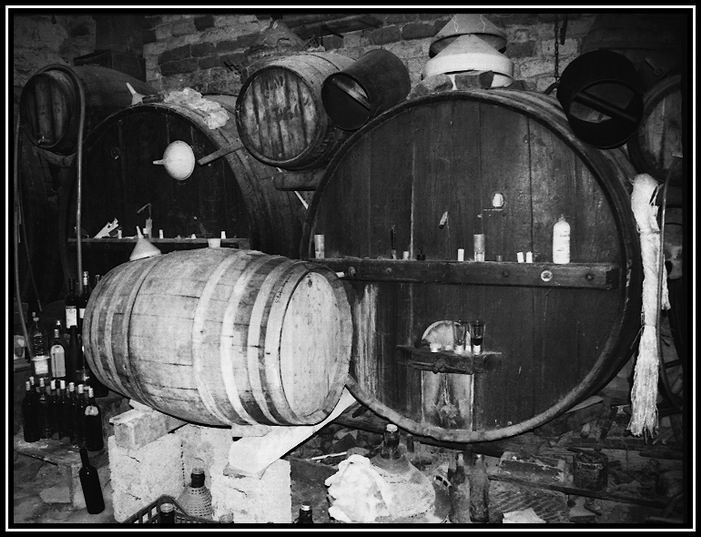 cantina.jpg