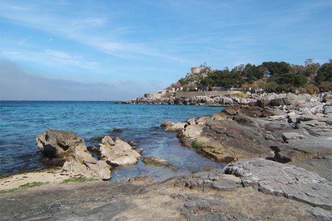 capogallo.jpg
