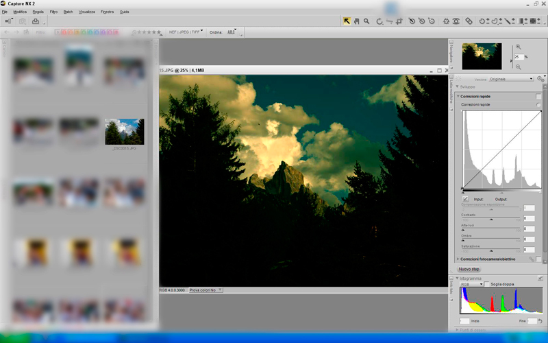 Capture-NX.jpg
