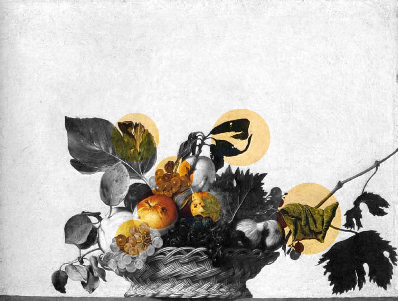 caravaggio.jpg