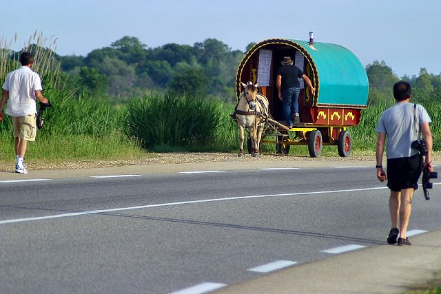 CARRETTO2aggressione al carretto.JPG