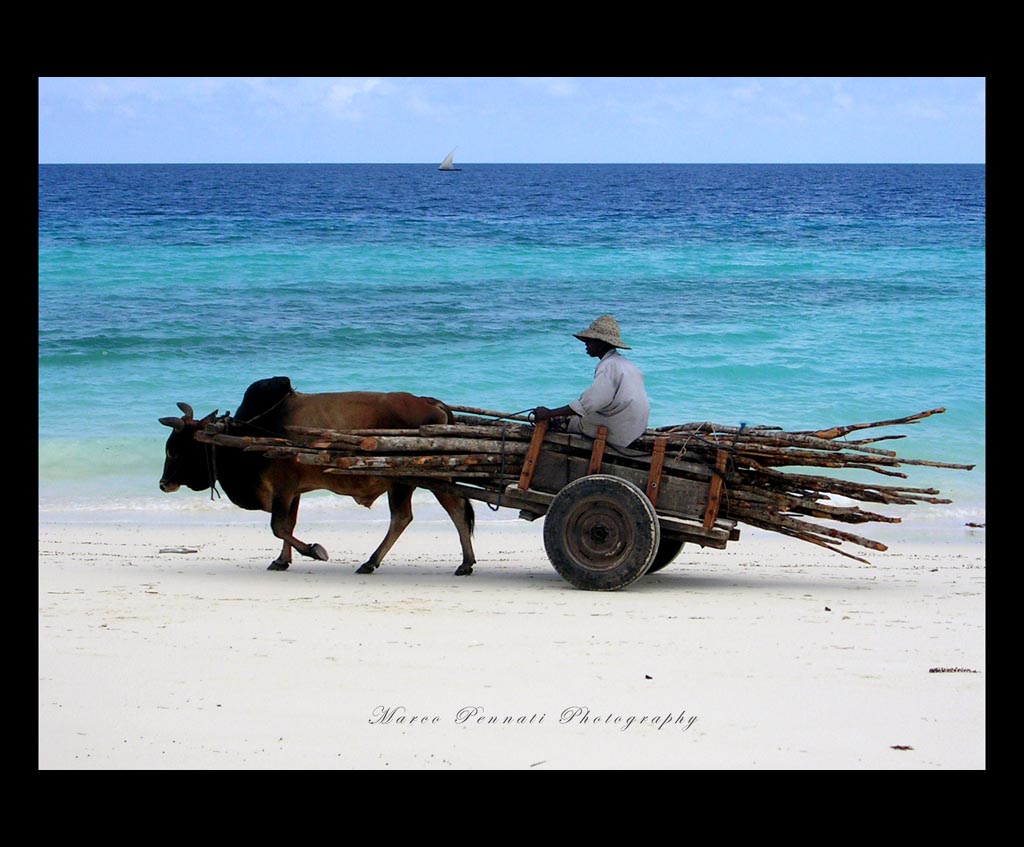 carro zanzibar.jpg