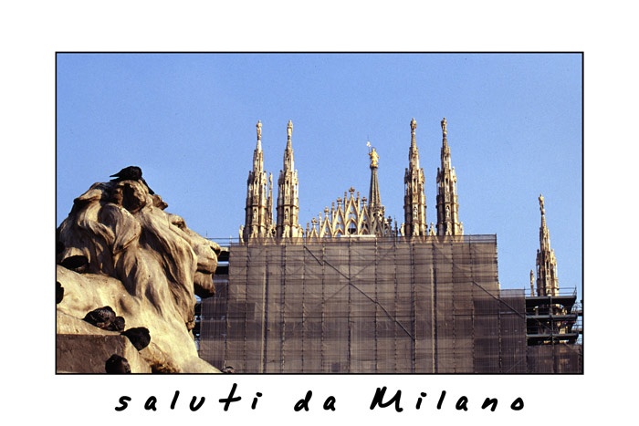 Cartolinaww.jpg