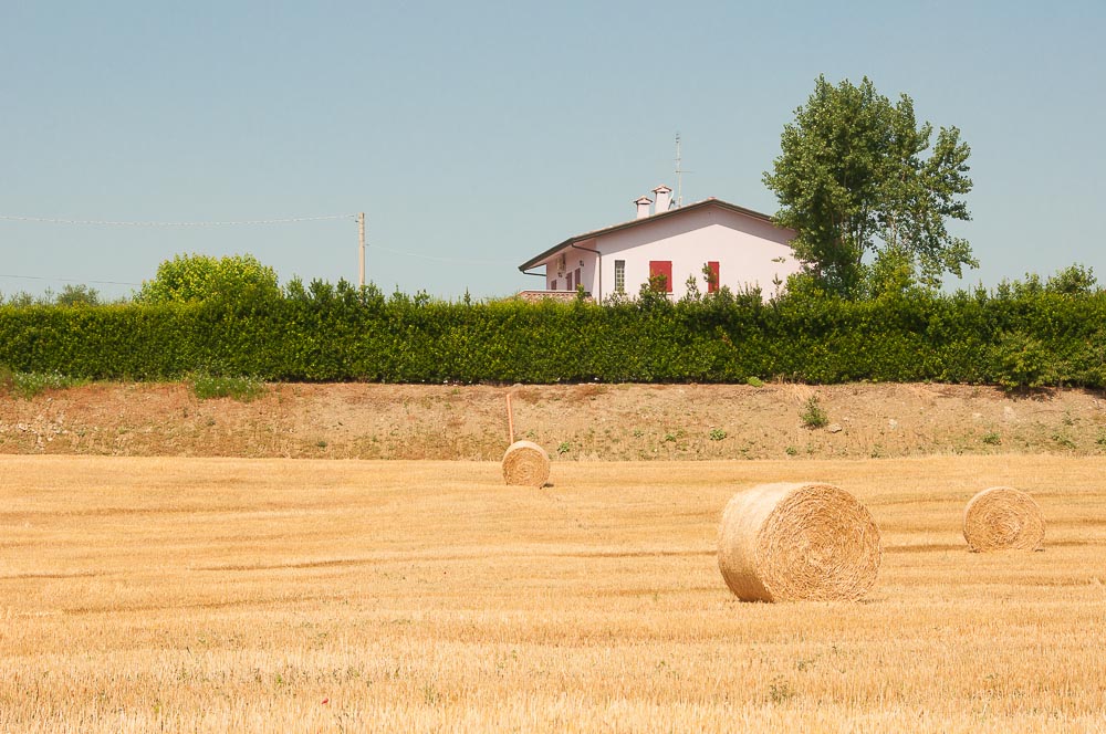 Casa nel campo II.jpg