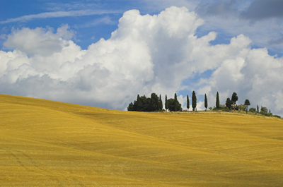 Casale-in-collina!-send-II.jpg
