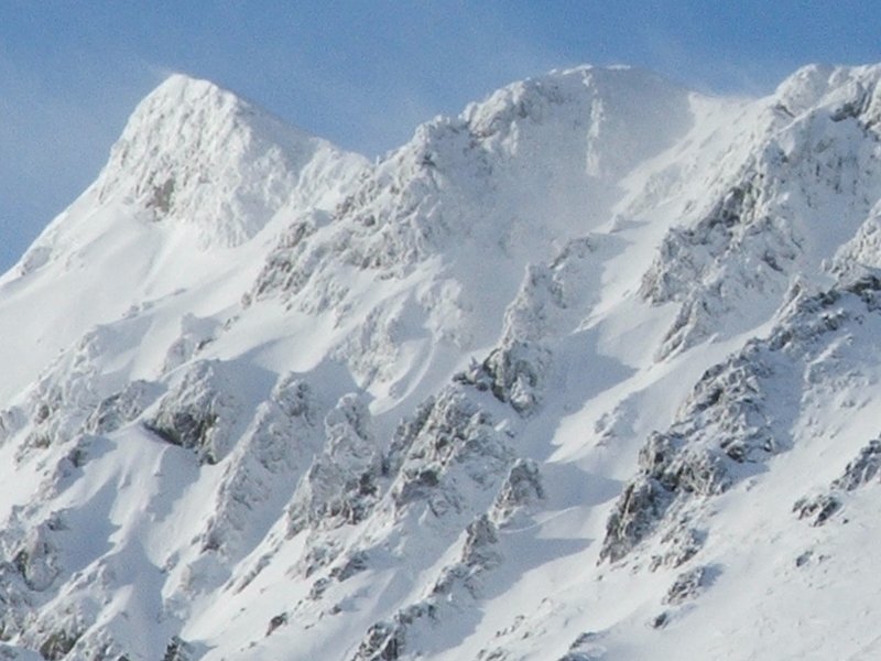 Casarola_zoom_crop.jpg